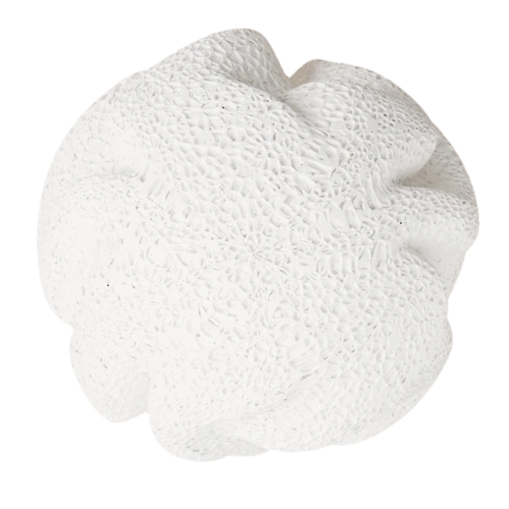 Muraka, a white coral-shaped object seen from above, with a fine cell texture over the whole surface